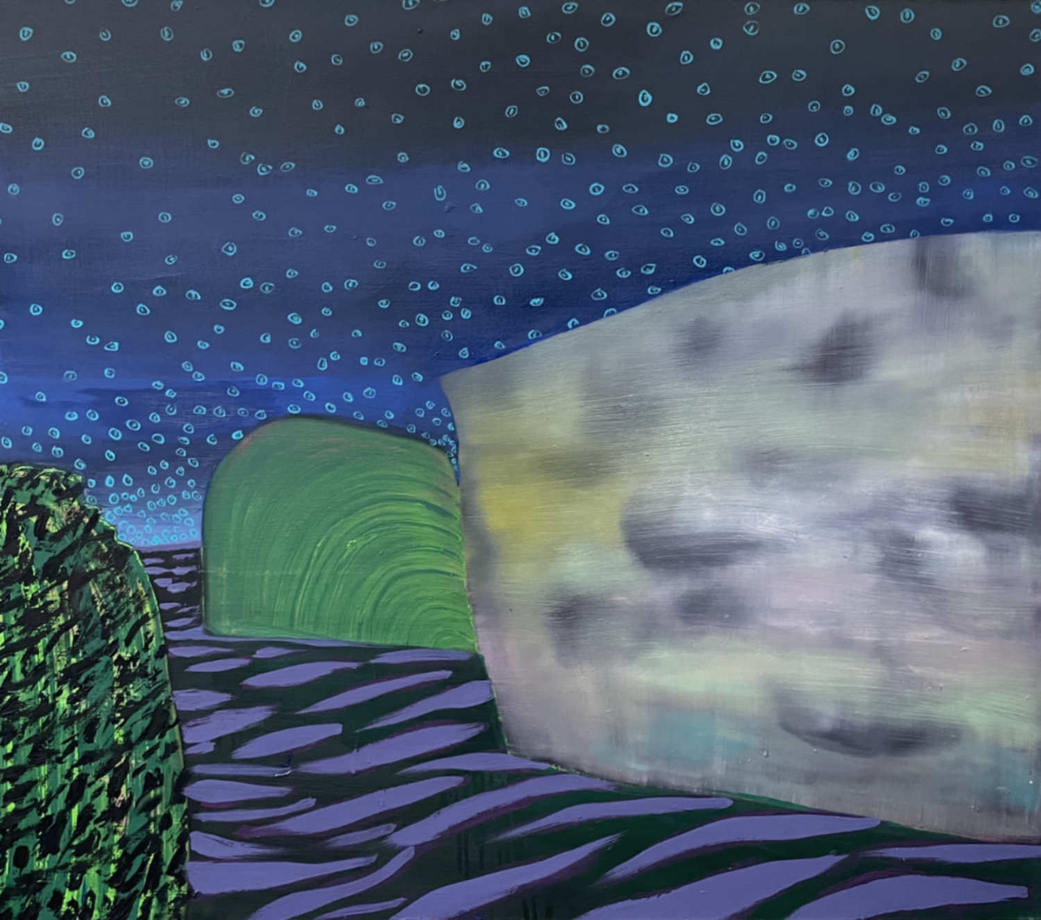 Sue McNally, 