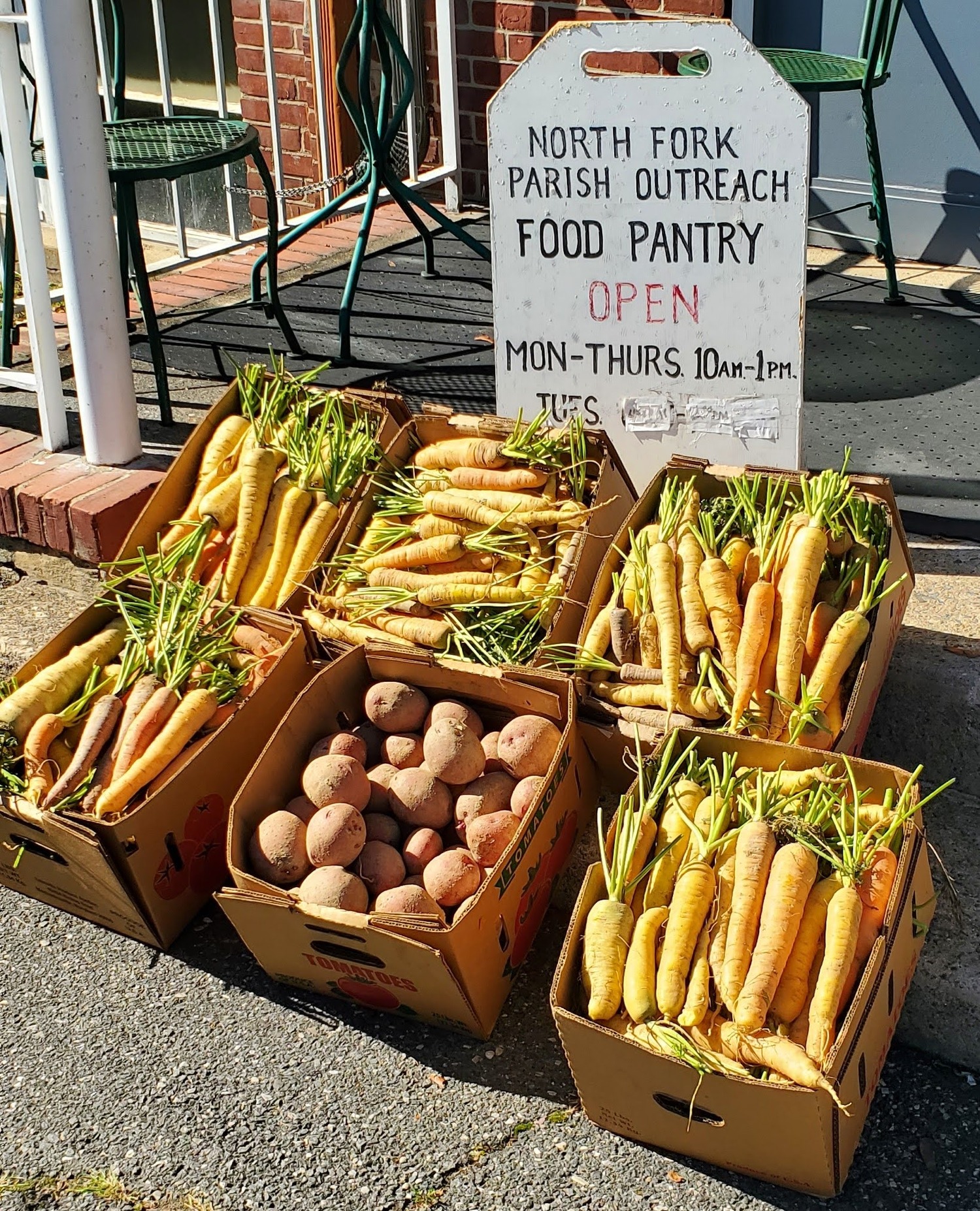 Carrots and sweet potatoes, donated by a local farm. Photo by Holly Cato