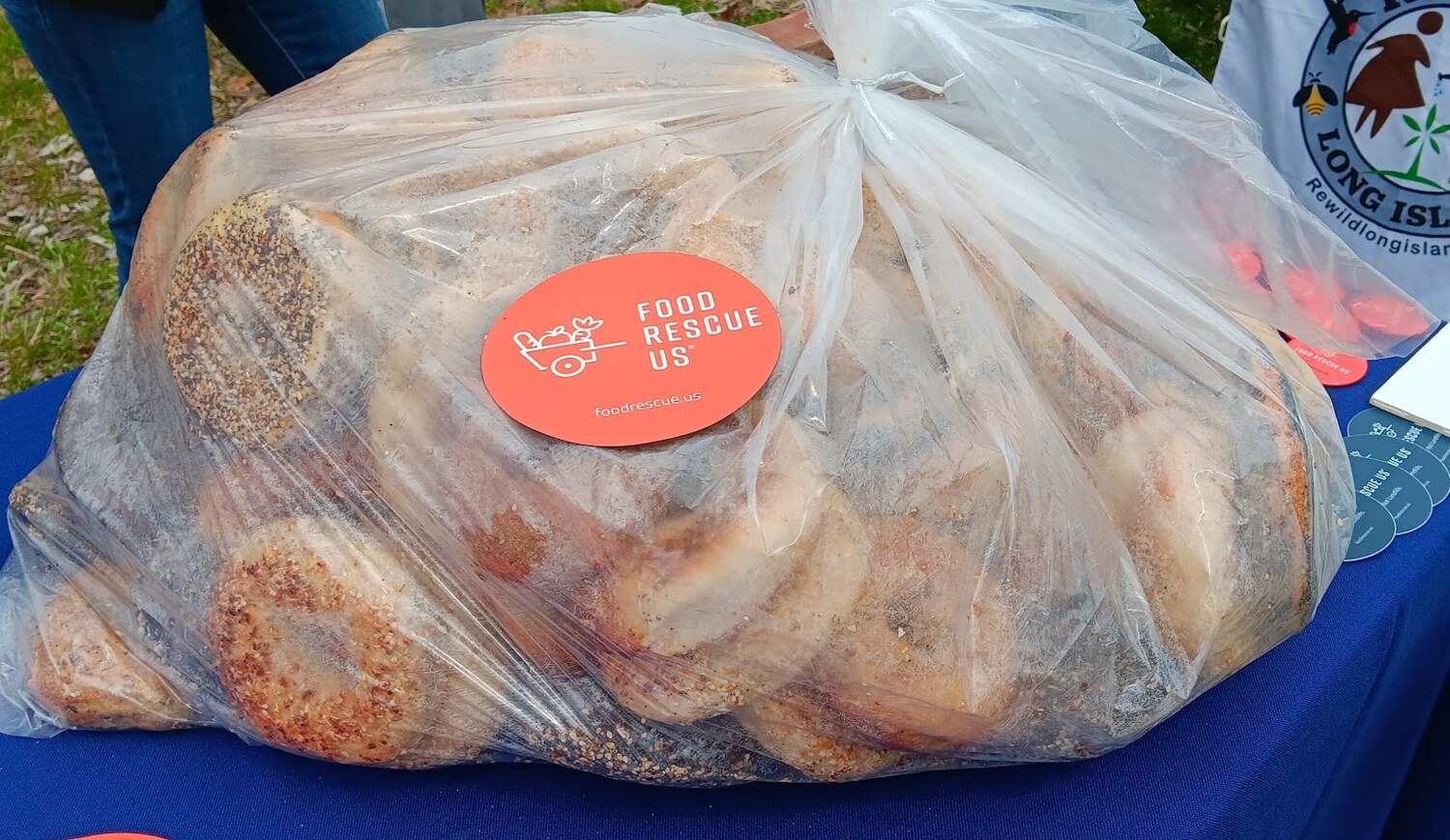 Bagels, donated to the effort. Anne Howard photo.