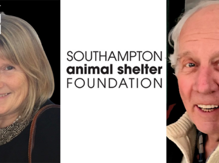 An Afternoon with the SOUTHAMPTON ANIMAL SHELTER FOUNDATION: Calming & Caring for your Pet