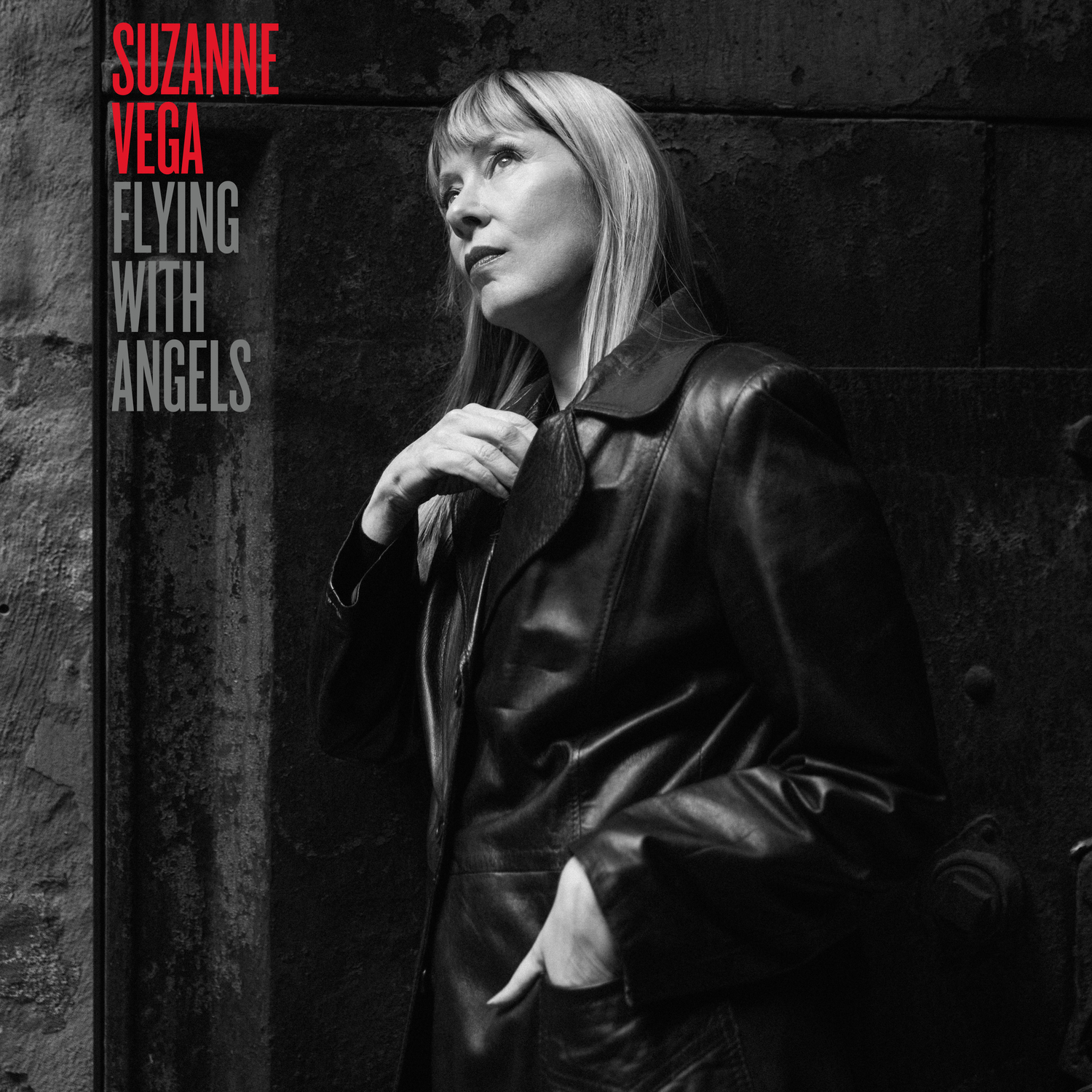The cover of Suzanne Vega's new album, 