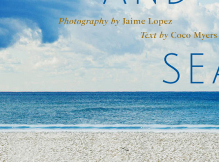 Light, Sand, and Sea: Hamptons Artists and Their Studios with Coco Myers and Jaime Lopez