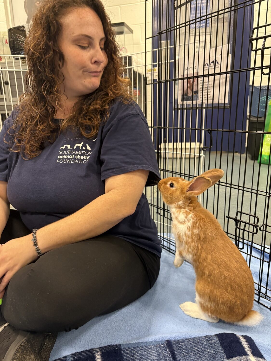 Krystin Koerner, the community outreach coordinator at the Southampton Animal Shelter Foundation, is a bunny care expert and works with several different bunny rescue organizations. Here, she's interacting with Mentos, one of several bunnies available for adoption. CAILIN RILEY