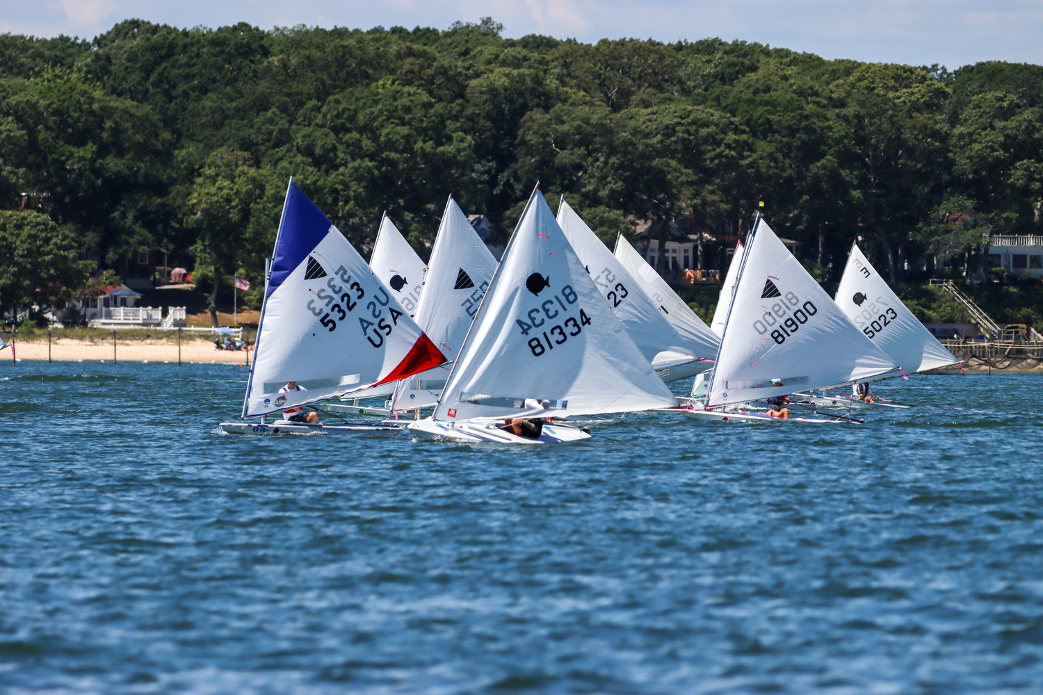 Griffin Sisk (81334) and John Eckart lead the Sunfish fleet.  GAYLE SHERIDAN