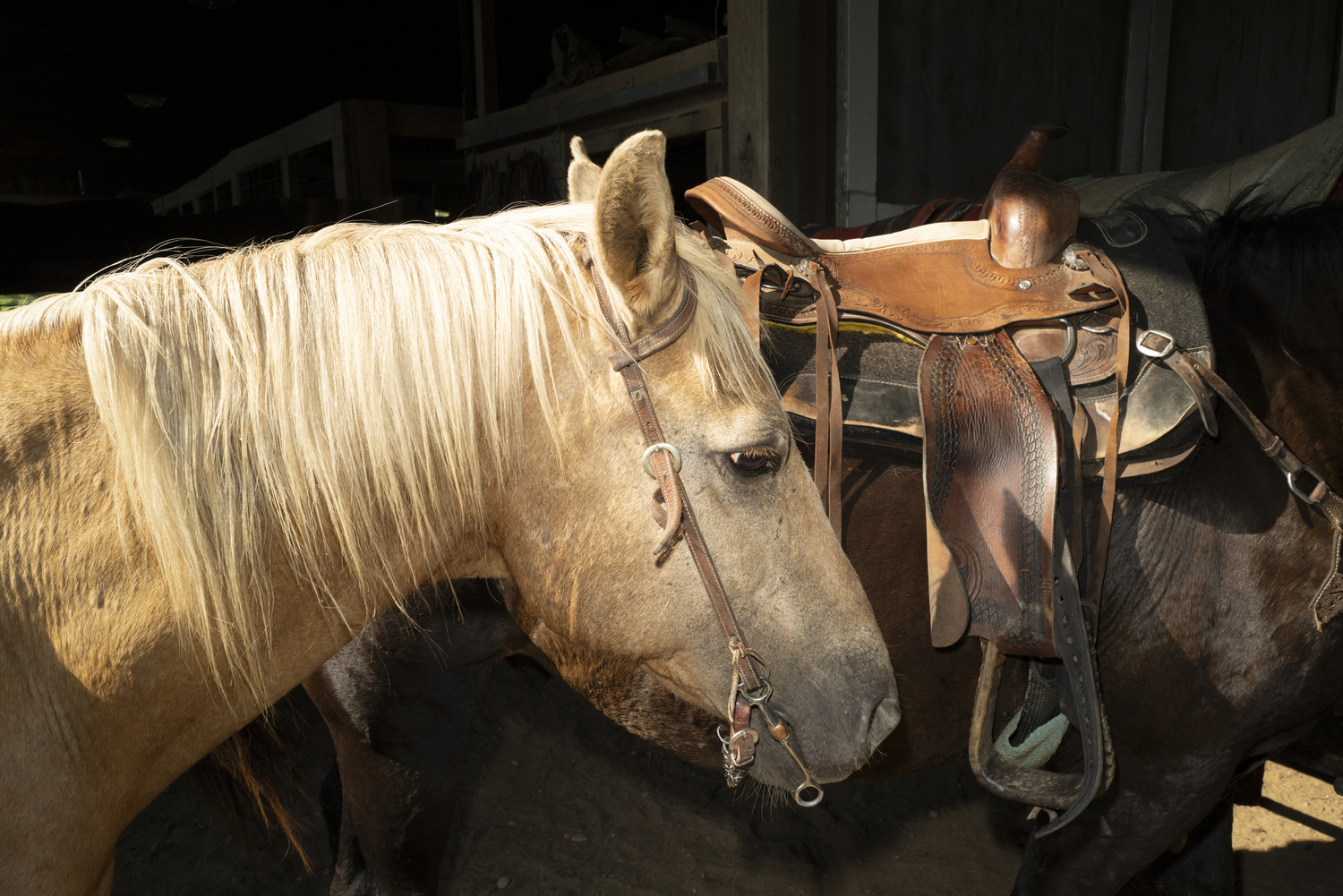 Gabrielle Keough has an eye for selecting just the right horse for each rider. Lori Hawkins photo