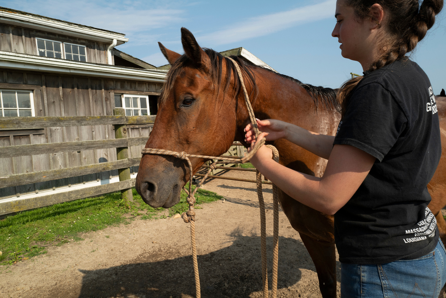 Gabrielle Payne puts a bridle on a horse at Deep Hollow Ranch in Montauk.