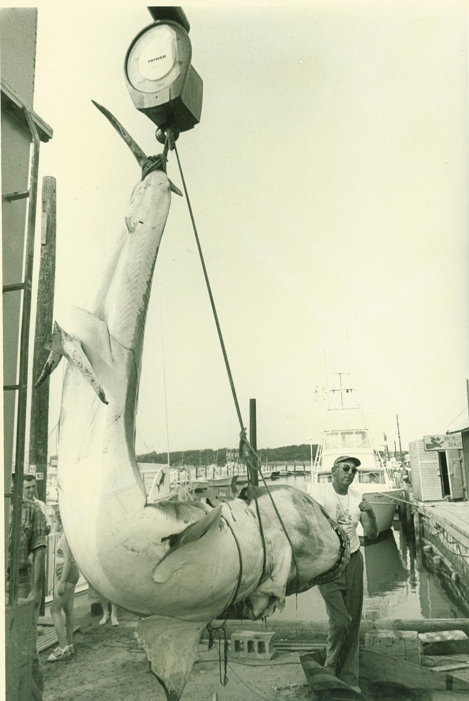 Montauk Captain Frank Mundus was said to be the inspiration of Captain Quint.   FILE PHOTO