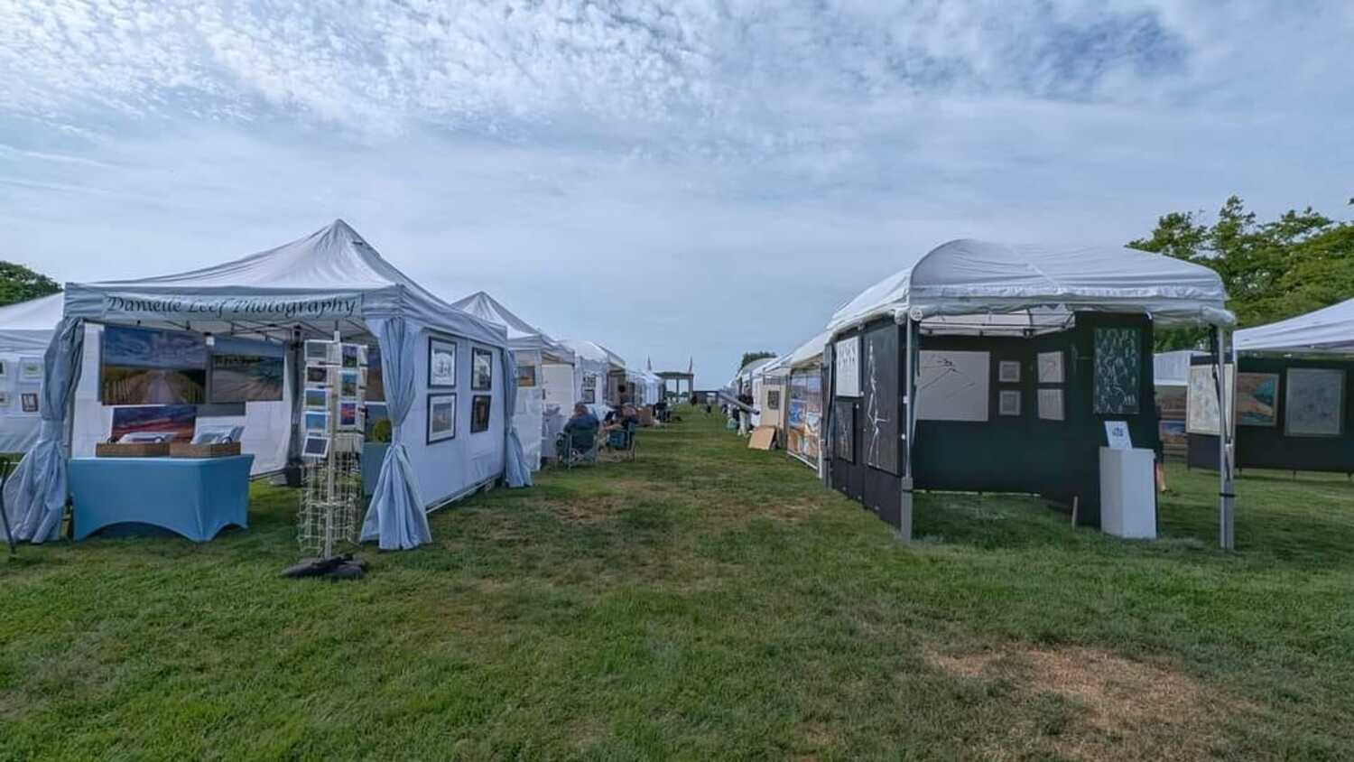 Artists' stalls at a previous year's Art in the Park. DANIELLE LEEF
