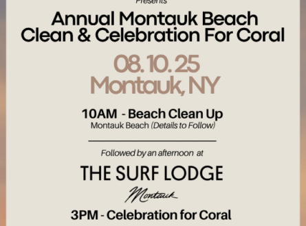 Annual Montauk Beach Clean & Celebration For Coral