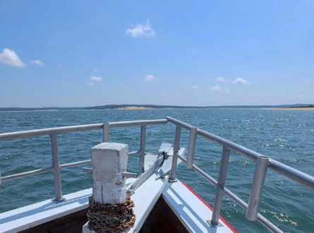 Sightseeing Nature Cruise Boat Ride