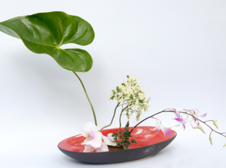 Ikebana Workshops