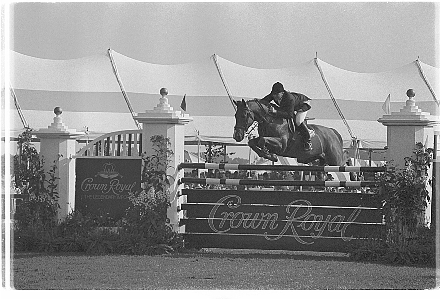 McLain winning the Hamptons Classic Grand Prix on Twist du Valon again in 1999.  FILE PHOTO