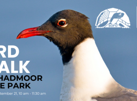 Bird Walk at Shadmoor State Park
