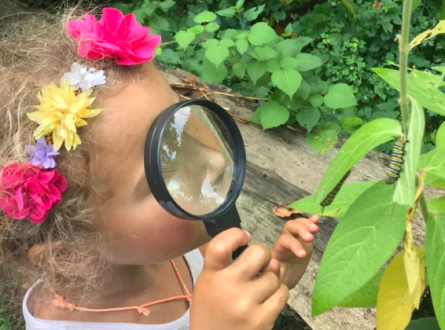 Nature Scavenger Hunt (Cutchogue)