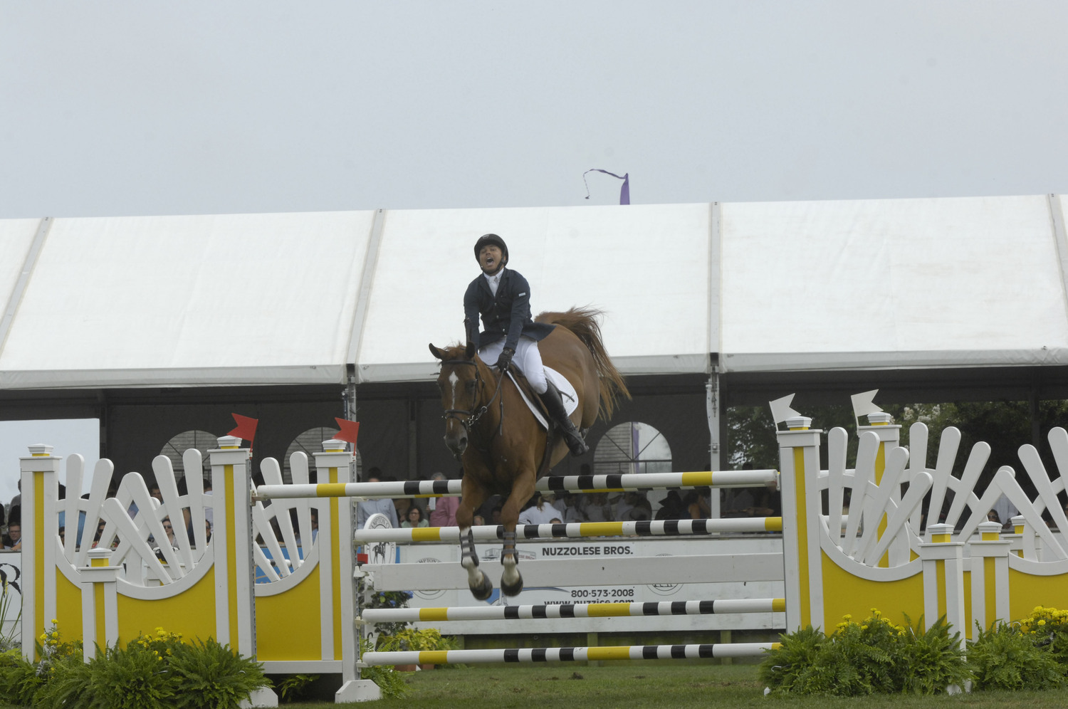 Kent Farrington won the Hampton Classic Grand Prix in 2012 and 2013.  DANA SHAW