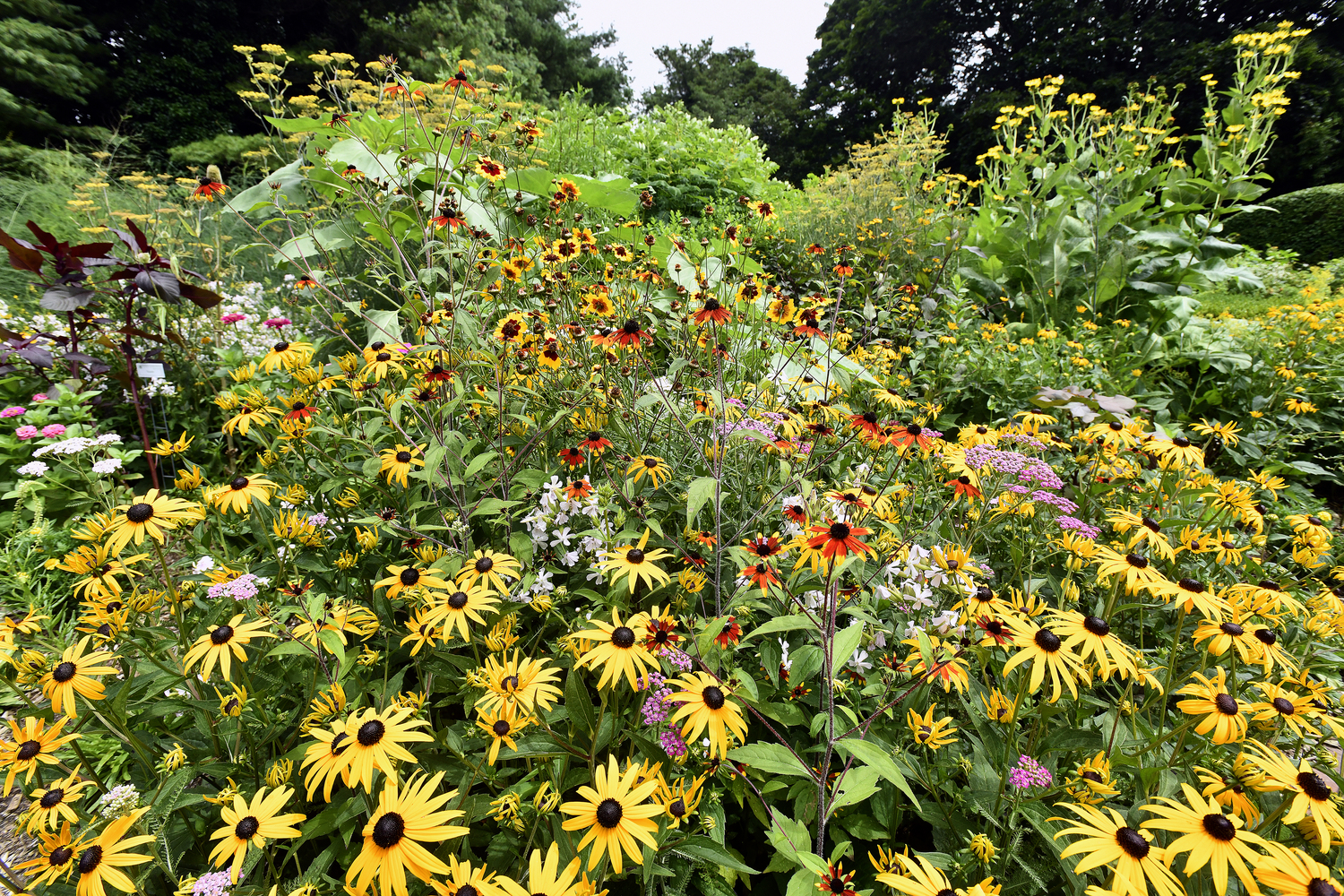 Bridge Gardens in in bloom.  DANA SHAW