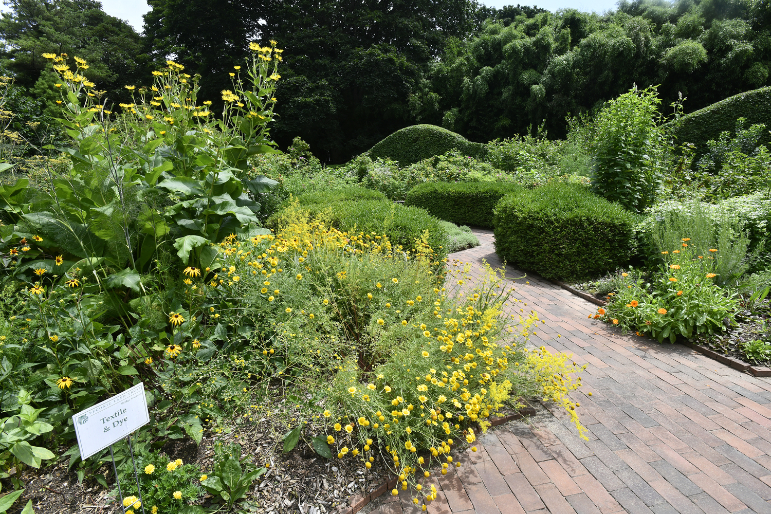 Inside Bridge Gardens: Bridgehampton’s Hidden Oasis of Flowers, Food and Community