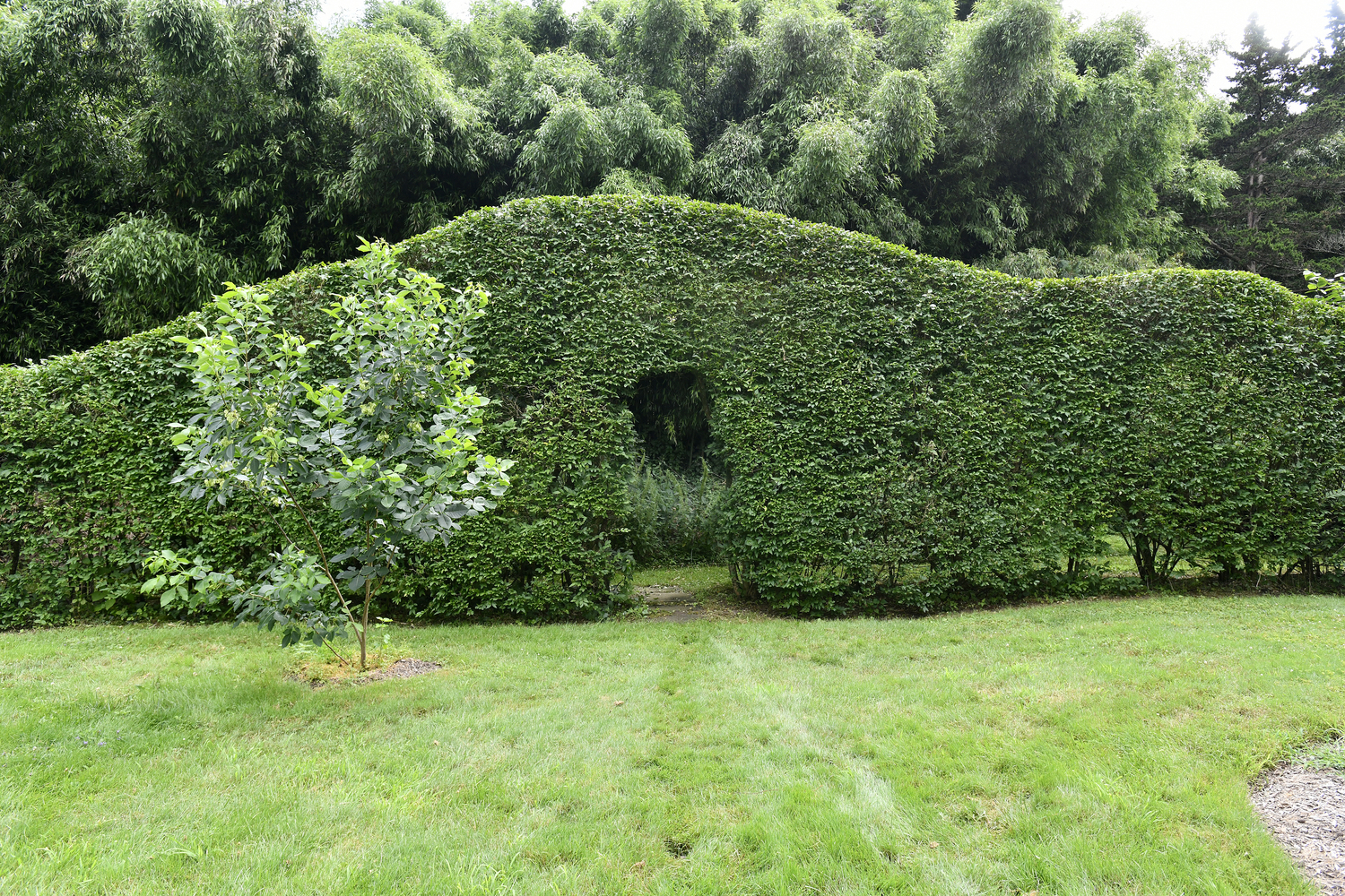 The herb garden at Bridge Gardens.  DANA SHAW