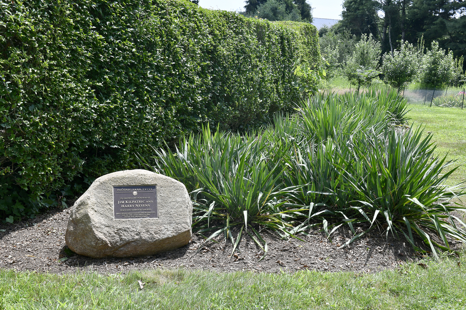 Bridge Gardens.  DANA SHAW