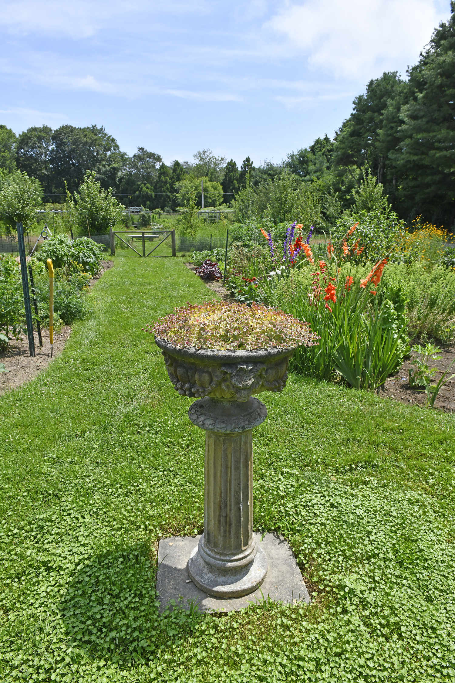 The community garden at Bridge Gardens.  DANA SHAW