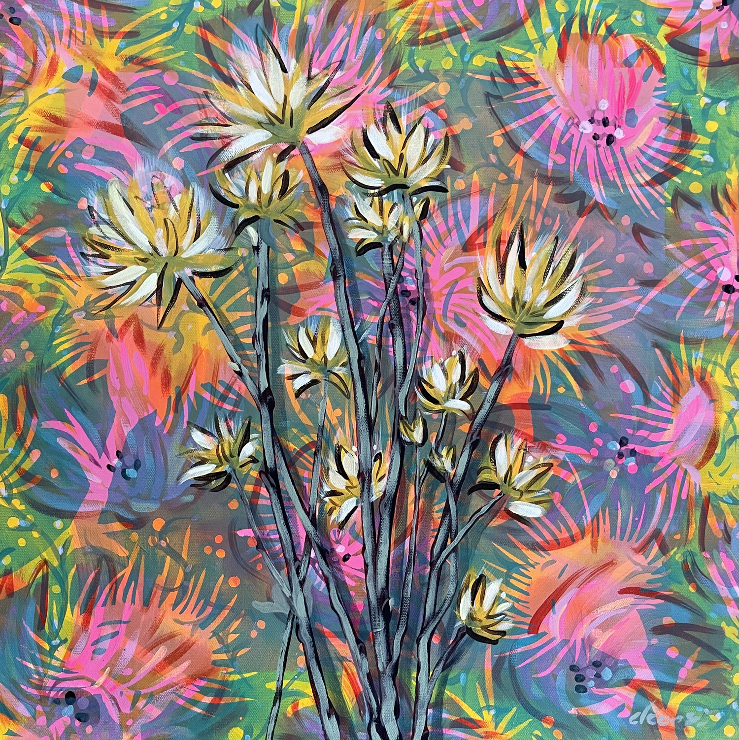 Donna Corvi, 