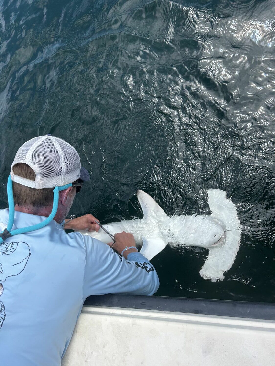 A young hammerhead shark is brought to the boat. COURTESY SOFO