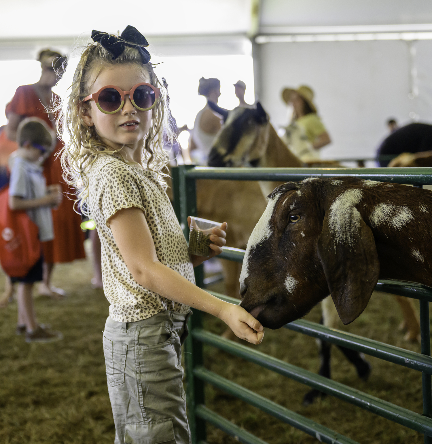 Enjoying the petting zoo.  MARIANNE BARNETT