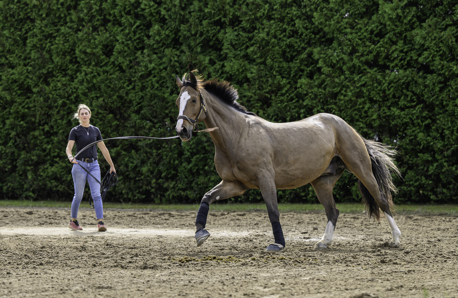 Lunging prep.  MARIANNE BARNETT