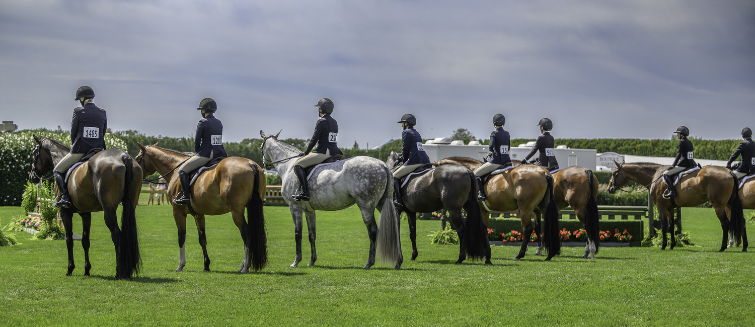 Lined up for judges in the adult 3-foot Hunters flat class.  MARIANNE BARNETT