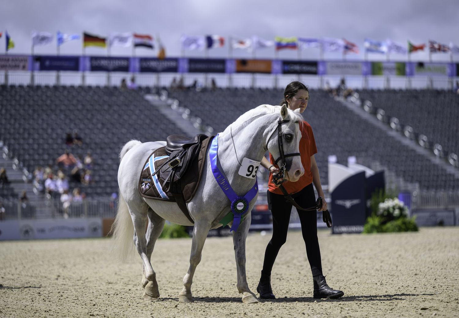 An EQUUS horse for adoption.  MARIANNE BARNETT