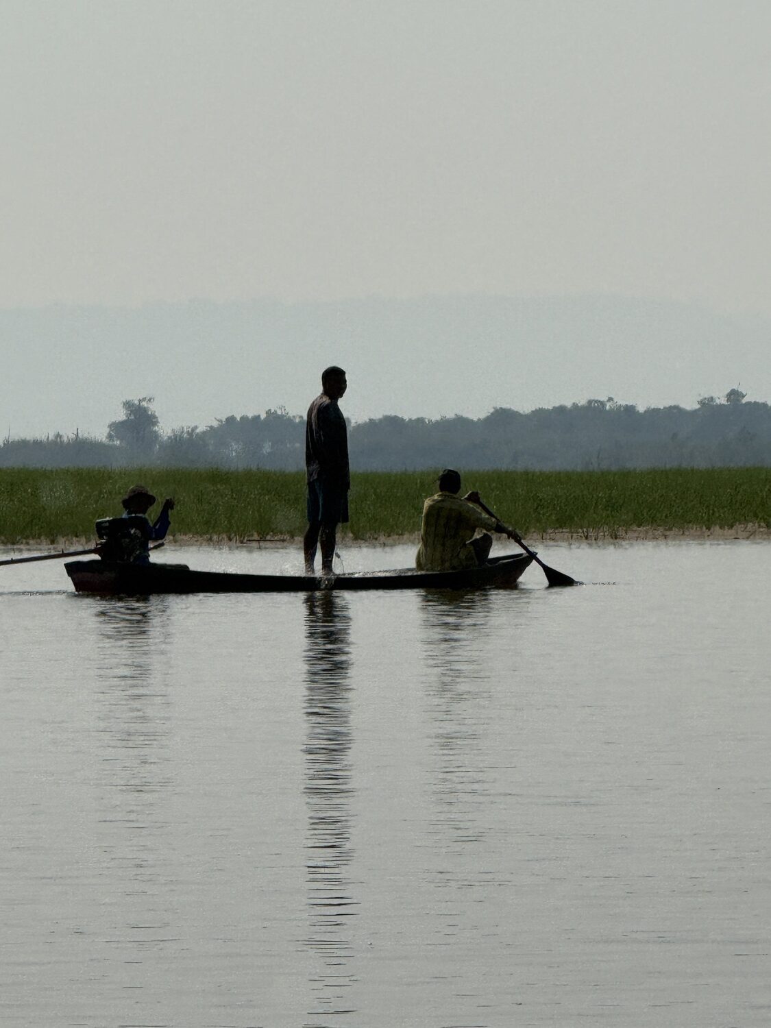 Scenes from the Amazon.