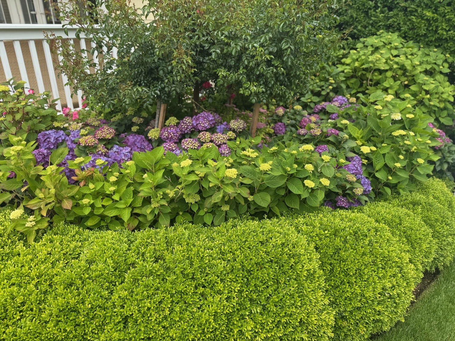NancyJane and Jeff Loewy’s garden in Southampton.  COURTESY NANCYJANE LOEWY