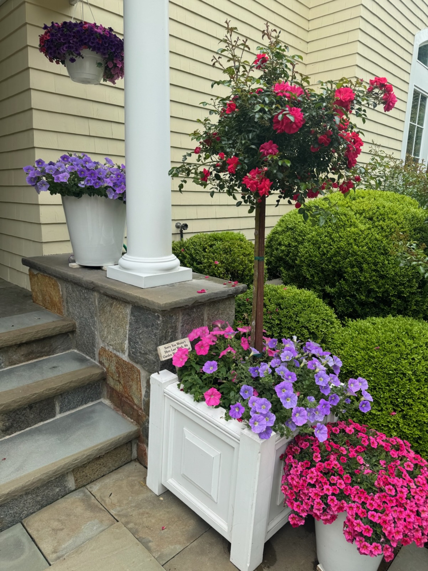 NancyJane and Jeff Loewy’s garden in Southampton.  COURTESY NANCYJANE LOEWY