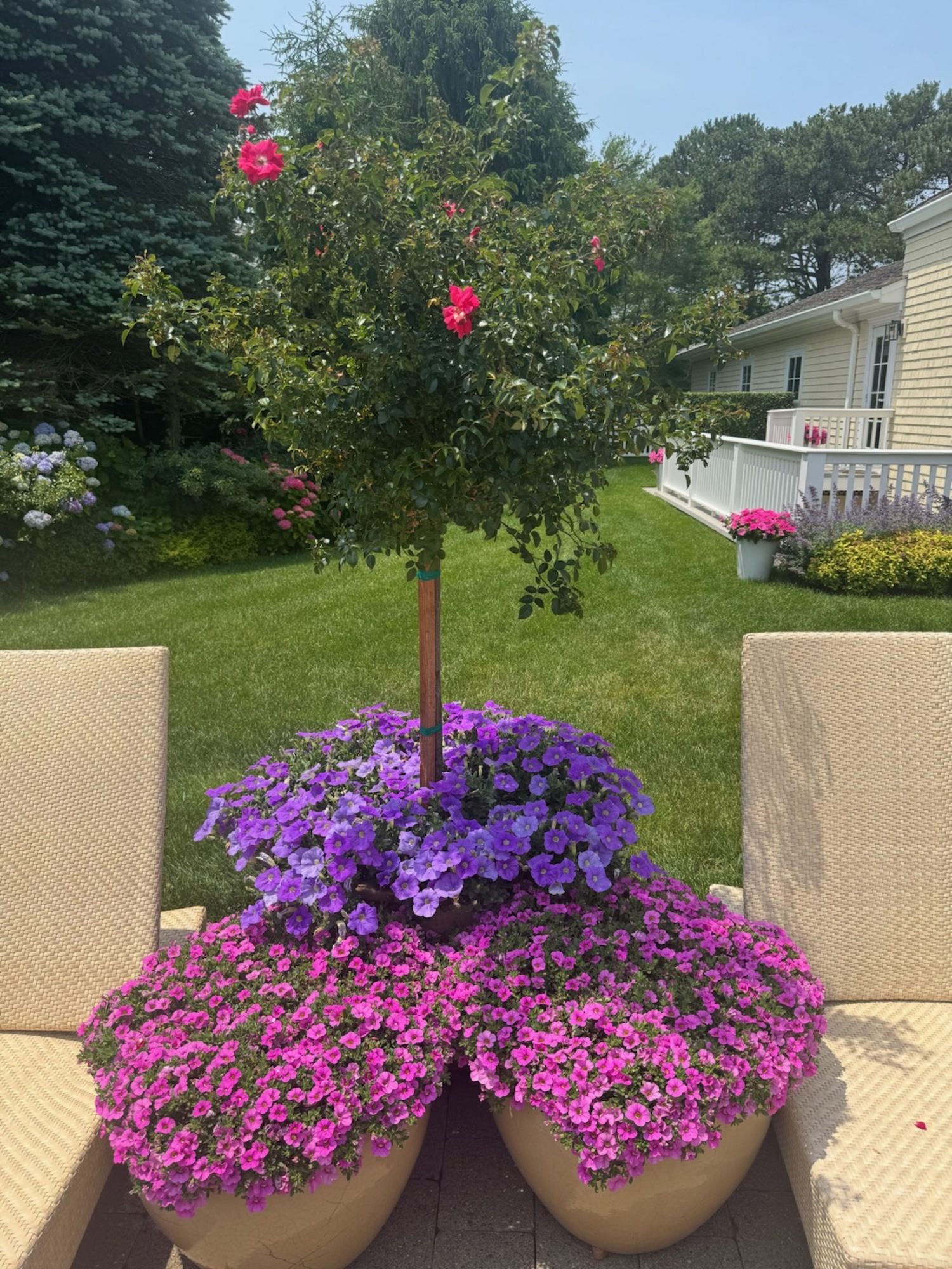NancyJane and Jeff Loewy’s garden in Southampton.  COURTESY NANCYJANE LOEWY