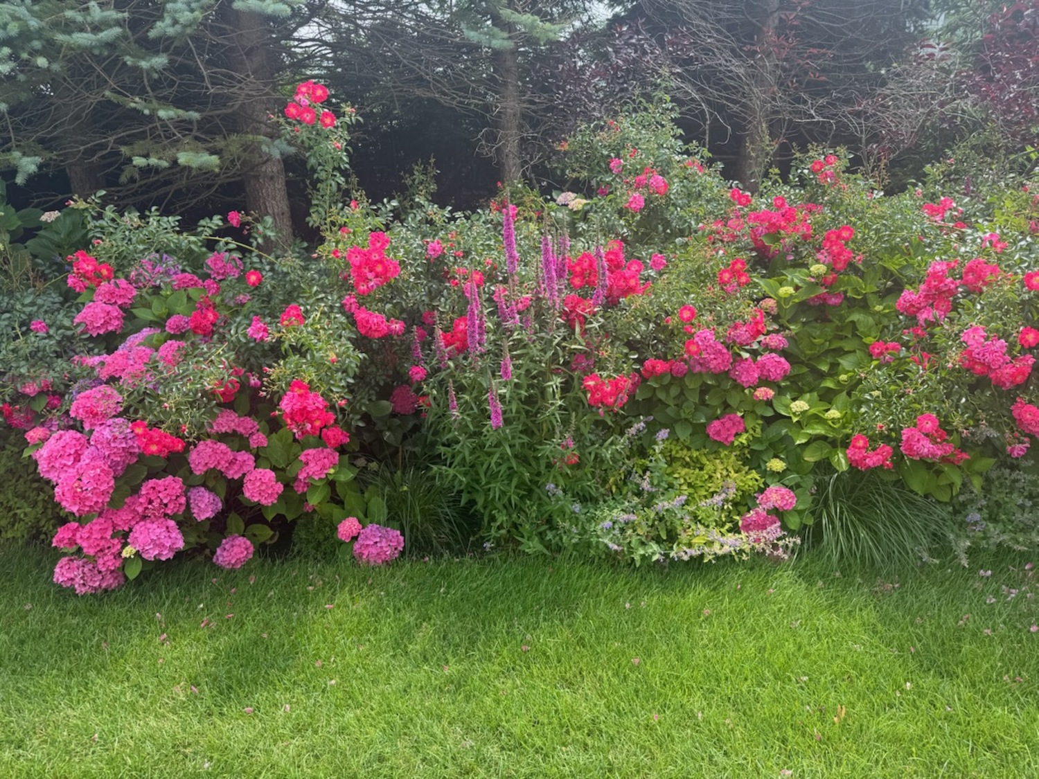NancyJane and Jeff Loewy’s garden in Southampton.  COURTESY NANCYJANE LOEWY