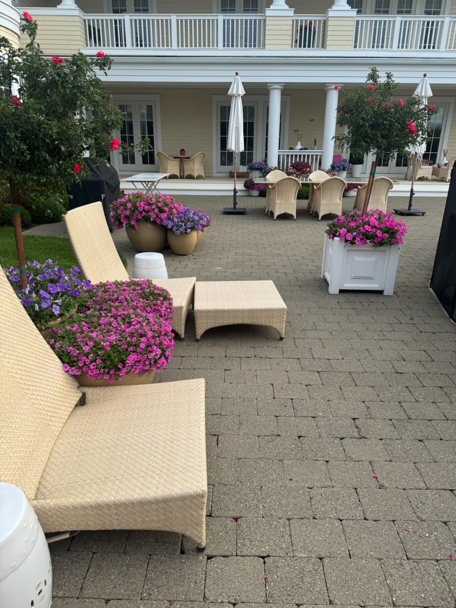 NancyJane and Jeff Loewy’s garden in Southampton.  COURTESY NANCYJANE LOEWY