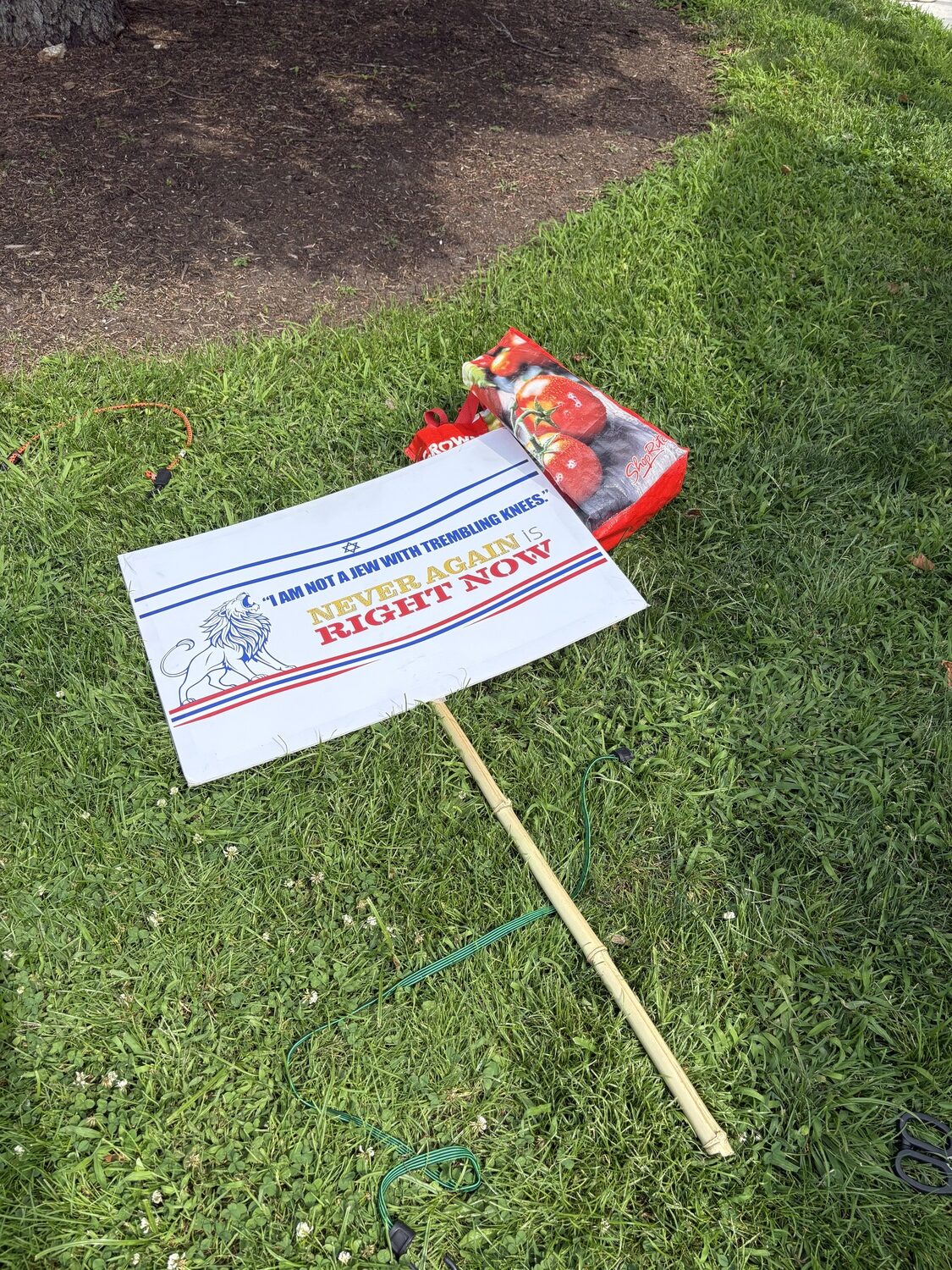 Members of the Stand With Israel group have been gathering in Sag Harbor at the same time that the group, East End for Peace and Justice, holds its weekly vigil, demanding an end to the war in Gaza and an end to U.S. support of Israel in the war. CAILIN RILEY PHOTOS