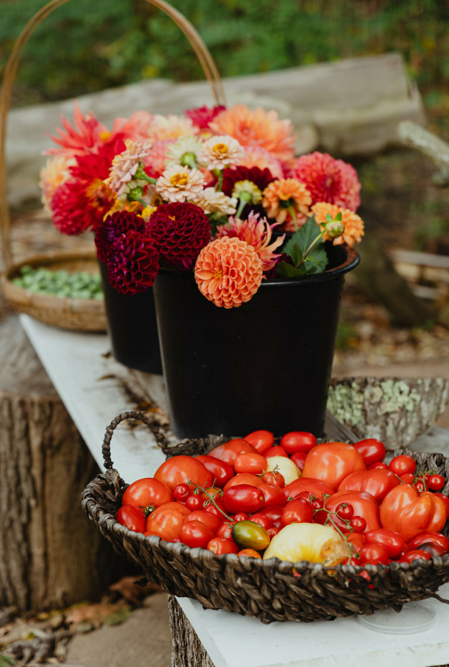 Feeding the World Gardening Tips