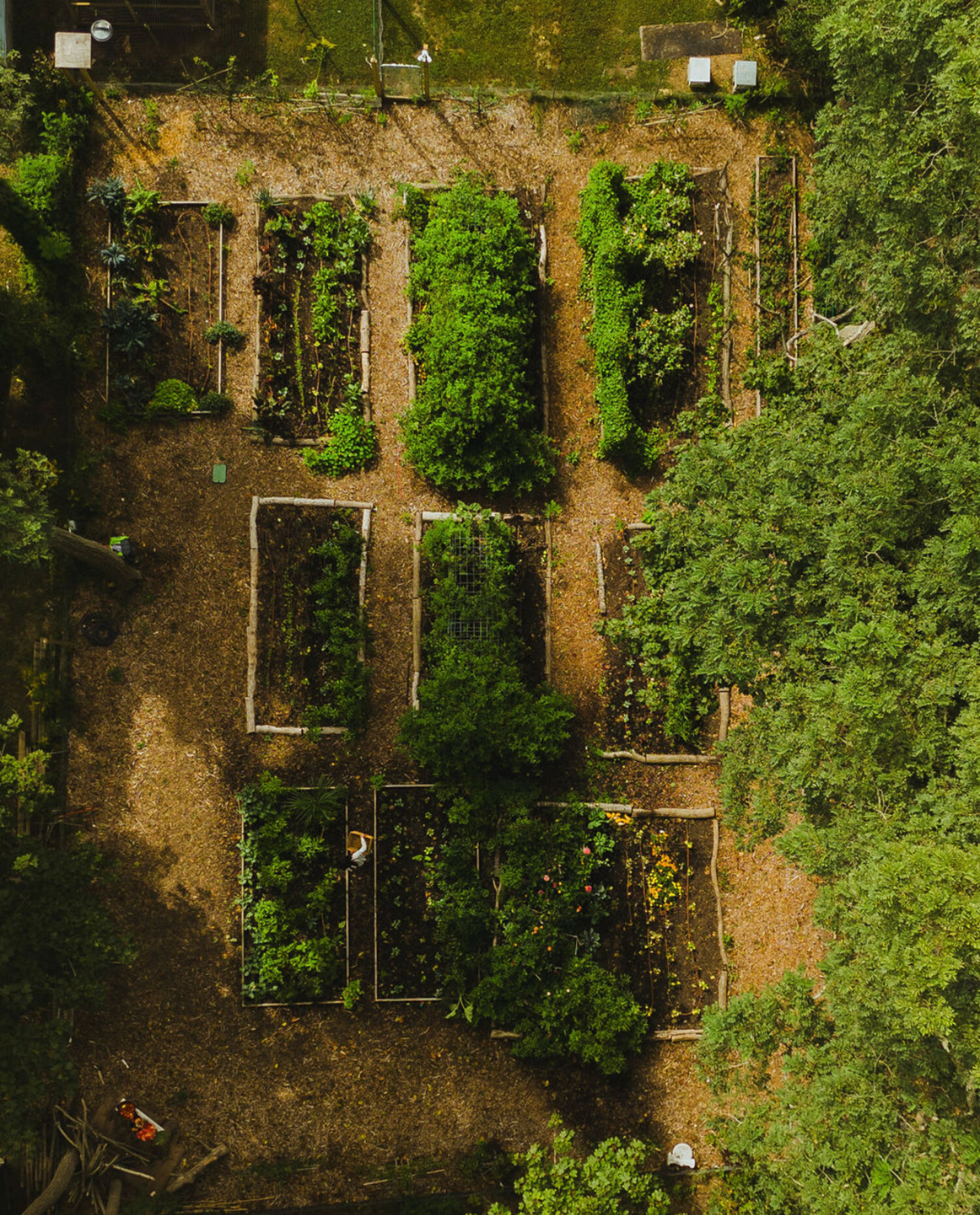 Feeding the World Gardening Tips