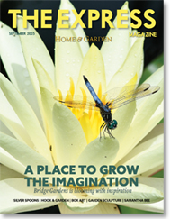 Express Magazine: The September Issue (Summer H&G)