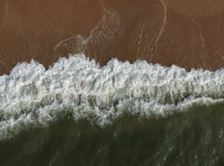 Southampton Artists Association  2025 Labor Day Art Exhibit