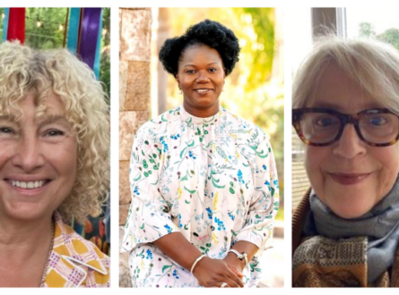 A Passion for Textiles-Stories from the Cloth Artist Talk