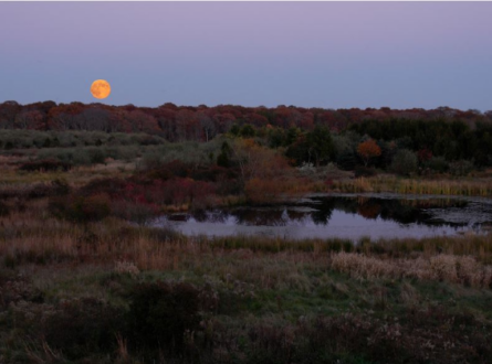Full Harvest Moon Hike