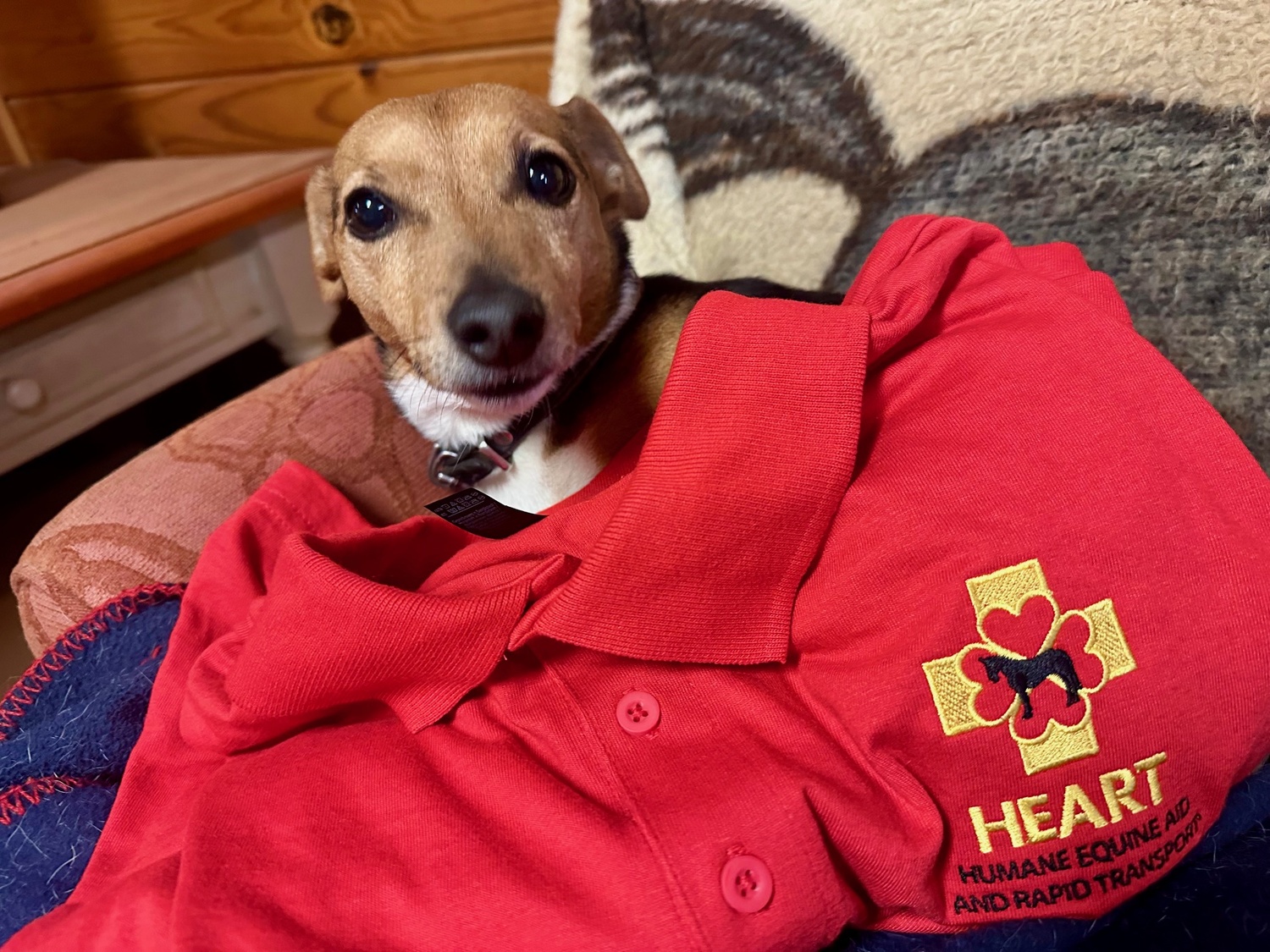 The HEART equine ambulance is on-call at horse shows like the Hampton Classic to provide rapid transport for equine athletes to hospitals in the event of an injury or serious illness. COURTESY HEART