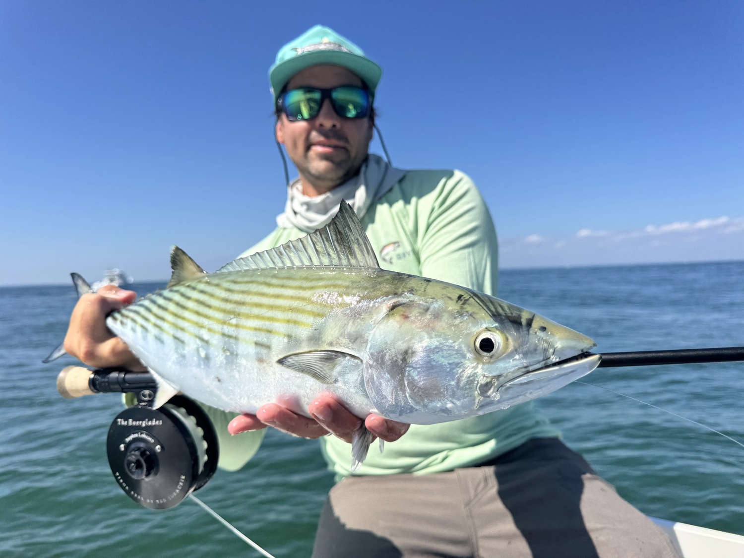 A few bonito, like this one decked by Stephen Lobosco of North Haven, are still mixed in with the false albacore.