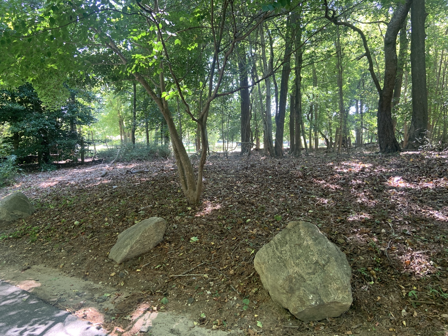 Southampton Town is in negotiations to buy for preservation this vacant parcel at 3 North Haven Way, which is across from the park at the Lovelady Powell property. STEPHEN J. KOTZ