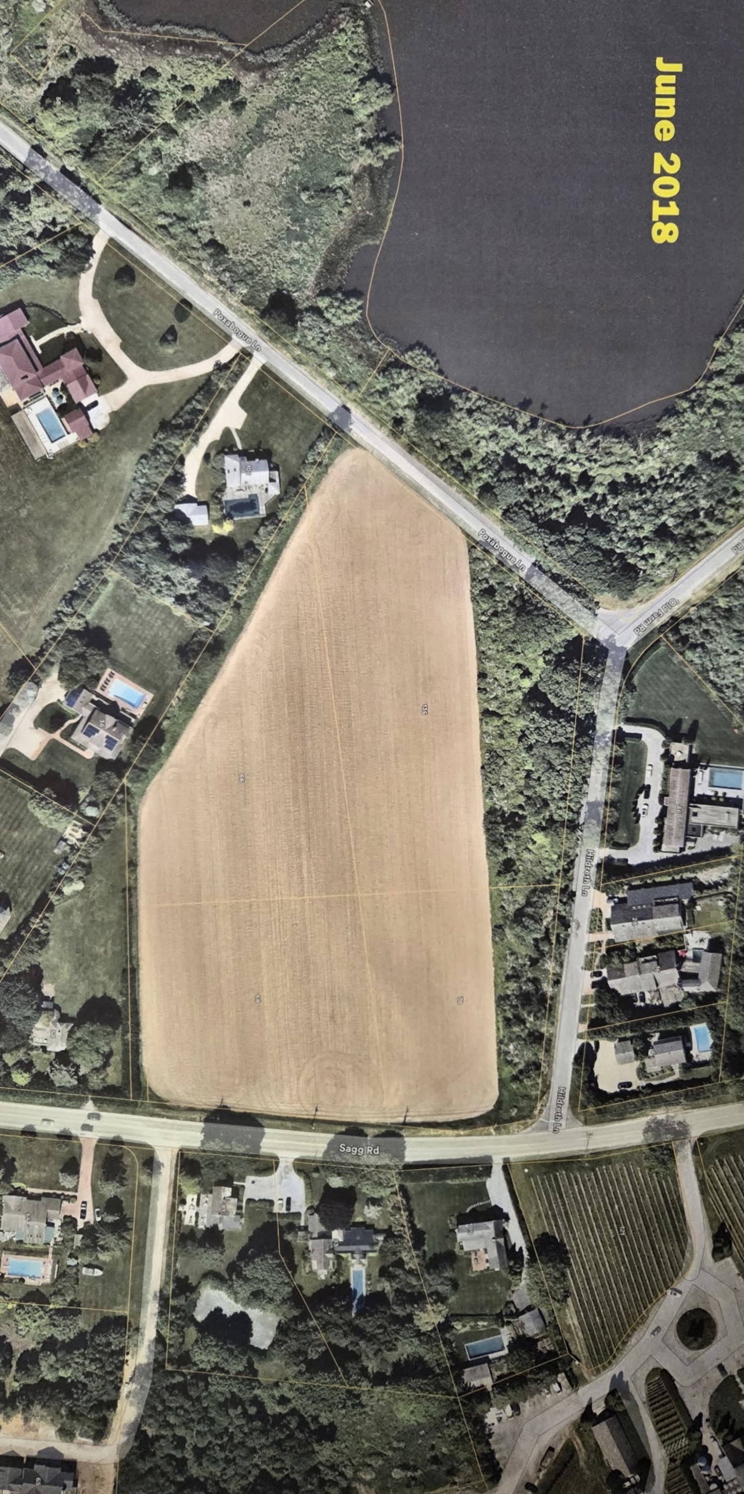 The land at Poxabogue Field was still cleared for farming in 2018, but has since returned to nature.
