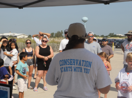Point Lookout Town Park Beach Clean-Up