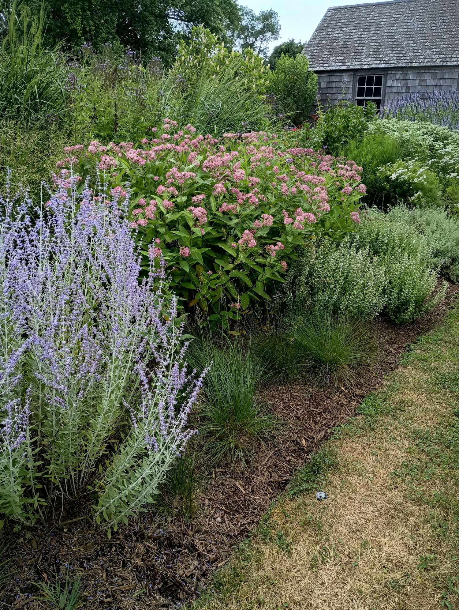 The native plant gardens at East Hampton Village Hall are a model for what Sheila Pfeiffer and the rest of the Southampton Village Environmental and Sustainability Committee are proposing at Doscher Park, near Lake Agawam. SHEILA PFEIFFER
