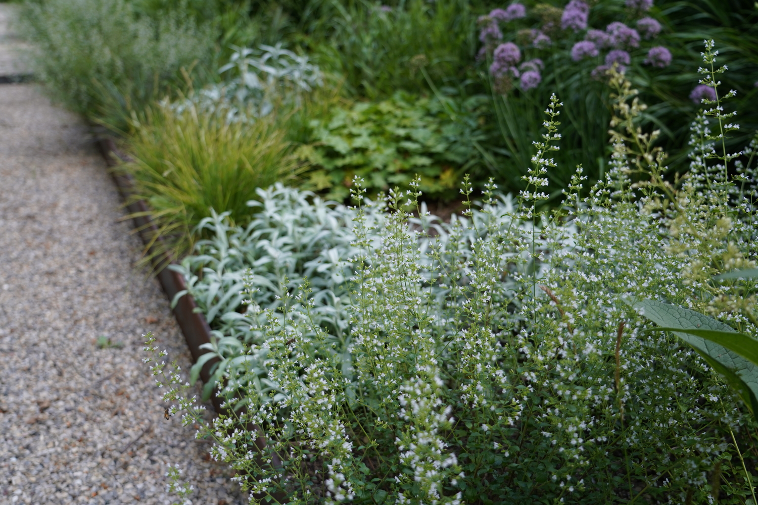 Garden designer Nick McCullough will present 